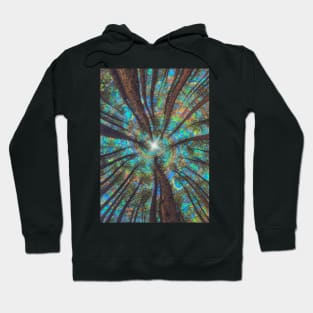 Projections Hoodie